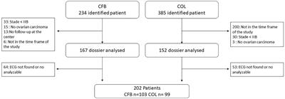 The promising prognostic value of vagal nerve activity at the initial management of ovarian cancer